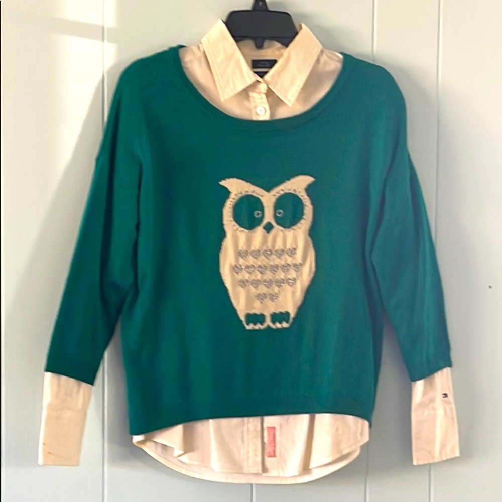 🎈3/$20 A Love by Design green owl sweater